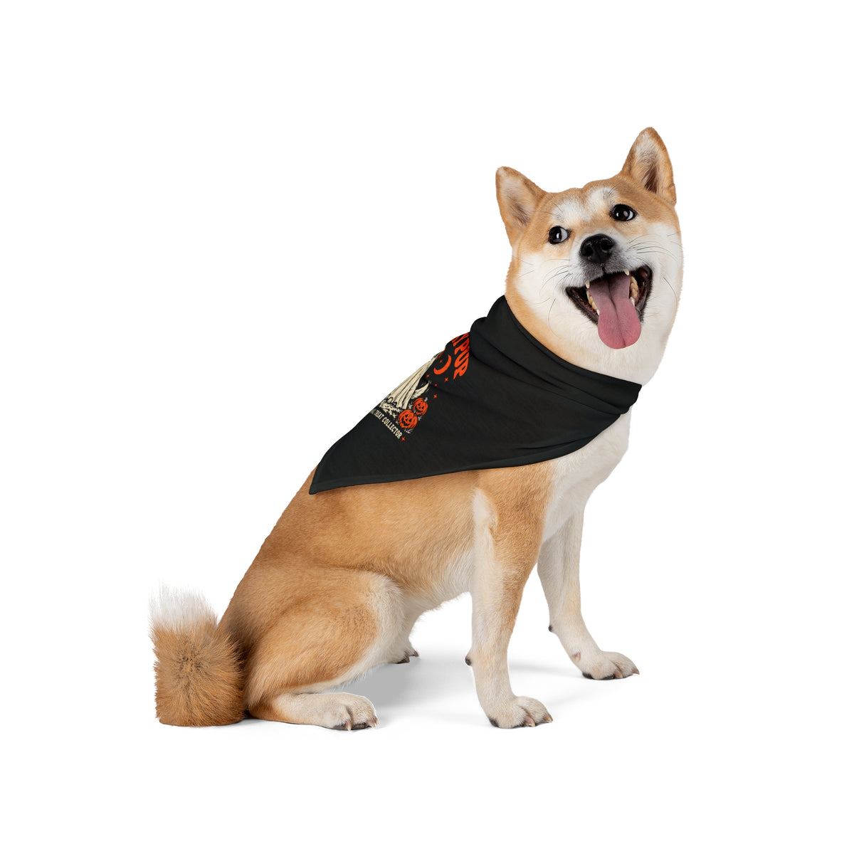 Spooky Pup dog bandana, additional view